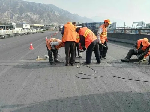 宕昌道路桥梁病害治理